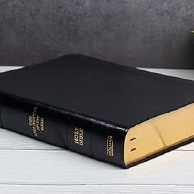 Apologetics Study Bible: King James Version (kjv), English Bible, Leather Touch, Black Cover and Easy to Understand with Large Fonts | Lifeway India Leather Bound – 1 January 2019