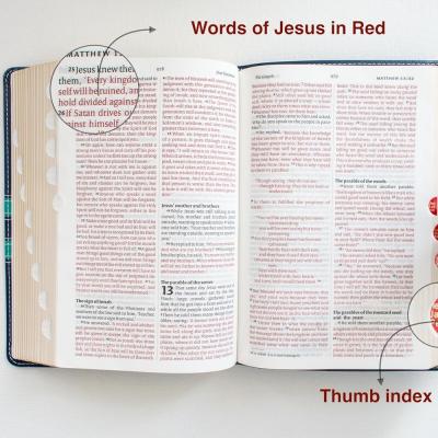 Niv Compact PU DT Thumb Index Gilt Edges Blue/Green, Compact, Readable and Stylish, Word of Christ in Red Leather Bound – 1 January 2023