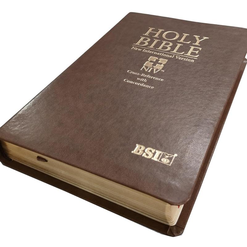 Holy Bible (NIV) New International Version (Red Letter) Cross-Reference with Concordance Brown BSI Leather Bound – 1 January 2022
