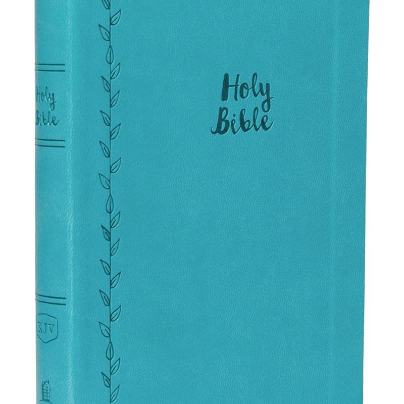 KJV, Thinline Bible, Large Print, Leathersoft, Burgundy, Thumb Indexed, Red Letter, Comfort Print: Holy Bible, King James Version Imitation Leather – Import
