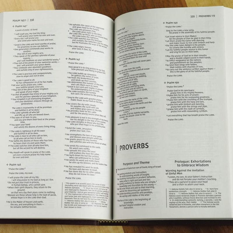 NIV: Gift And Award Bible, Leather-Look, Burgundy, Red Letter